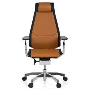 Siège De Bureau Haut De Gamme Genidia Pro Marron Clair/noir