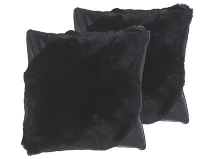 Lot De 2 Coussins Noir Ehnar 42 X 42 Cm