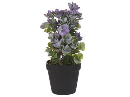 Plante Artificielle 31 Cm Avec Pot Houseleek Plant