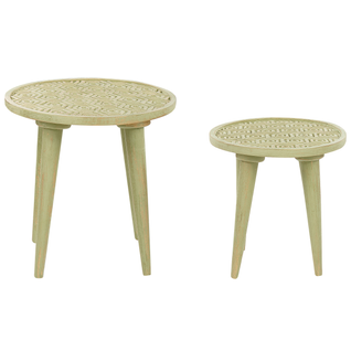 Lot De 2 Tables D'appoint En Bois De Manguier Vert Clair Maharo