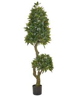 Plante Artificielle 160 Cm Laurele