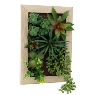 Cadre Mural Avec Plante Succulente Artificielle 20 X 30 Cm