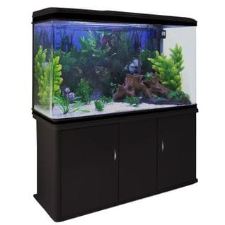 Aquarium à Bords Noir Avec Meuble Noir Et Gravier Blanc