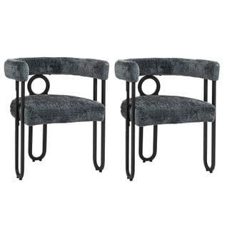 Lot De 2 Chaises Avec Accoudoirs Et Pieds En Métal Gris