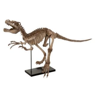 Statuette Déco Sur Pied "dino T-rex" 145cm Marron