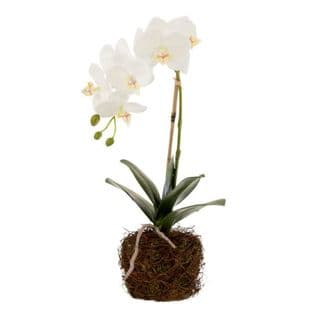 Fleur Artificielle Déco "orchidée En Terre" 40cm Blanc