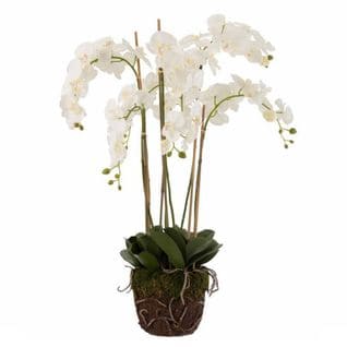 Fleur Artificielle Déco "orchidée En Terre" 98cm Blanc