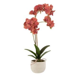 Plante Artificielle En Pot "orchidée" 57cm Rose