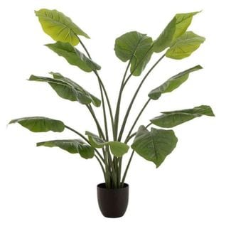 Plante Artificielle "taro Sauvage" 123cm Vert