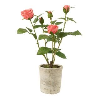 Plante Artificielle En Pot "rosier" 39cm Rose