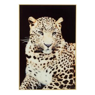 Toile Imprimée "léopard" 80x120cm Noir Et Or