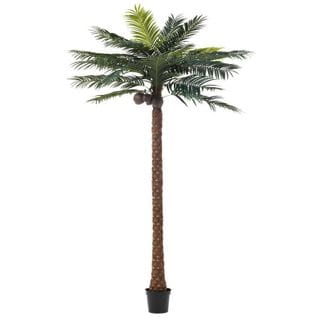 Plante Artificielle "palmier 4 Noix De Coco" 350cm Vert