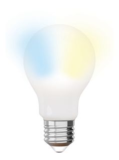 Ampoule LED standard E27 iDual Opale