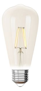 Ampoule LED Edison ST64 E27 iDual Transparent