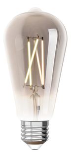 Ampoule LED Edison ST64 E27 iDual Silver