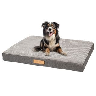 Matelas Orthopédique XXL Pour Chien