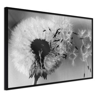 Affiche Murale Encadrée "dandelion In The Wind" 45 X 30 Cm Noir
