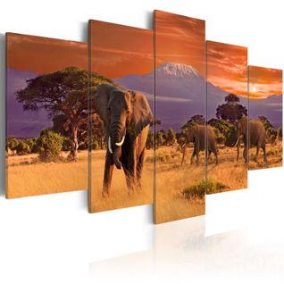 Tableau Imprimé "afrique : Éléphants" 100 X 200 Cm