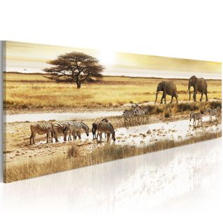 Tableau Imprimé "africa : At The Waterhole" 45 X 135 Cm