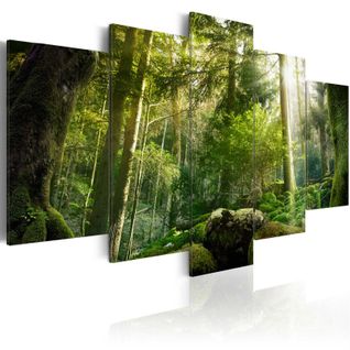 Tableau Imprimé "beauté De La Forêt" 100 X 200 Cm