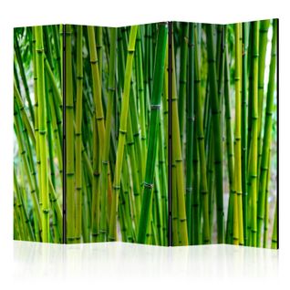 Paravent 5 Volets "bamboo Forest" 172x225cm
