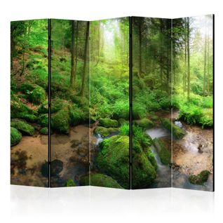 Paravent 5 Volets "humid Forest" 172x225cm