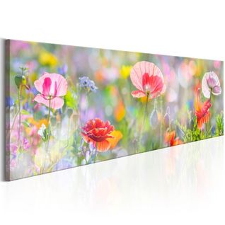 Tableau Imprimé "rainbow Of Morning Poppies" 45 X 135 Cm