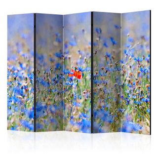 Paravent 5 Volets "a Sky Colored Meadow Cornflowers" 172x225cm
