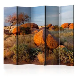 Paravent 5 Volets "african Landscape, Namibia" 172x225cm