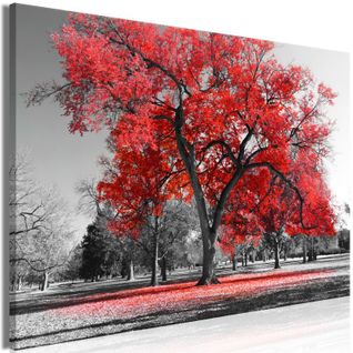 Tableau Imprimé "autumn In The Park Wide Red" 80 X 120 Cm