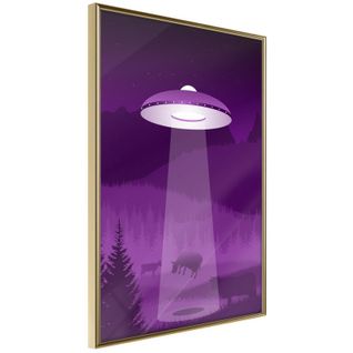 Affiche Murale Encadrée "flying Saucer" 40 X 60 Cm Or