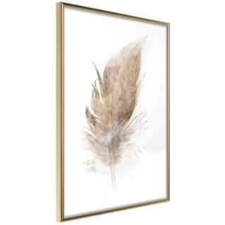 Affiche Murale Encadrée "lost Feather Beige" 30 X 45 Cm Or