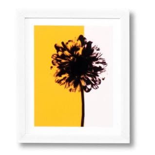 Yellow Dadelion - Peinture Décorative 30 X 25 Cadre Blanc