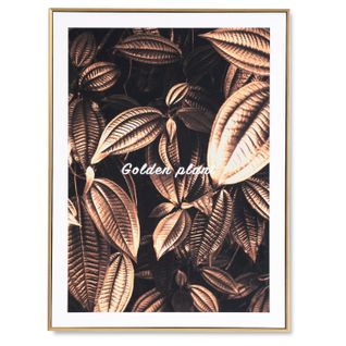 Golden Cocoa - Peinture Décorative Sur Toile 80 X 60 Cadre Doré