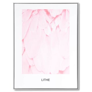 Pink Lithe - Tableau Décoratif 80 X 60 Cadre Blanc