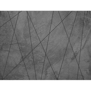 Poster Thème Lignes Noires - 360 X 270 Cm