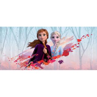 Poster Géant Intissé - Disney La Reine Des Neiges 2 - Modèle Anna Et Elsa Vent D'automne 202 Cm X 90