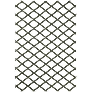 Trellis De Jardin 50 X 150 Cm Bois Vert