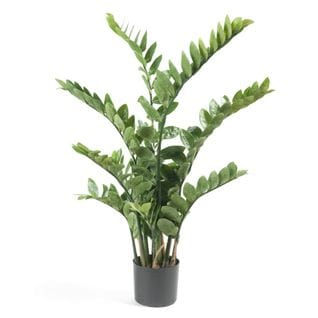 Zamioculcas Artificiel Vert 110 Cm 11.662c