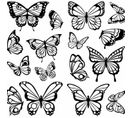 Stickers Papillons à Colorier