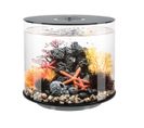 Aquarium Décoratif 35l Avec Cadre Noir - Tube 35 Mcr Black