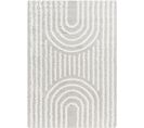 Tapis Shaggy Scandinave Blanc/gris 160x220