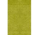 Tapis Shaggy Moderne Vert 200x290