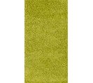 Tapis Shaggy Moderne Vert 80x150