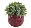 Plante H19 cm ANANAS Violet / Vert