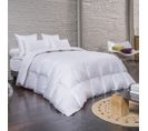 Couette Concordia - Chaude 240 X 260 Cm Blanc