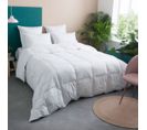 Couette Temperee 70% Duvet - Coton - Annabelle 220 X 240 Cm Blanc