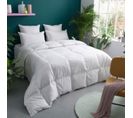 Couette Temperee 80% Duvet - Coton - Gabrielle 140 X 200 Cm Blanc