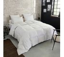 Couette Premium Naturelle Tempérée - 30% Duvet 200 X 200 Cm Blanc