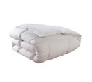 Couette Natur' Protect - 70% Duvet - Chaude 200 X 200 Cm Blanc